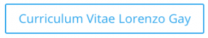 Curriculum Vitae Lorenzo Gay