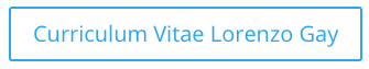 Curriculum Vitae Lorenzo Gay