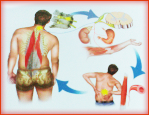 NST squilibrio del corpo
